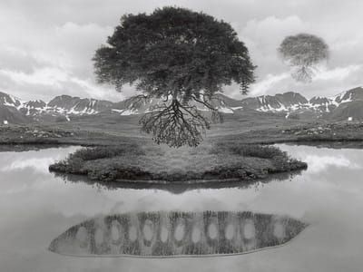 Artwork Title: Untitled