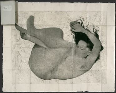Artwork Title: Free Fall