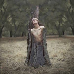 Artwork Title: Untitled