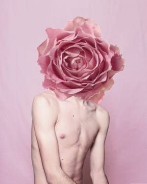 Artwork Title: Bllom 2
