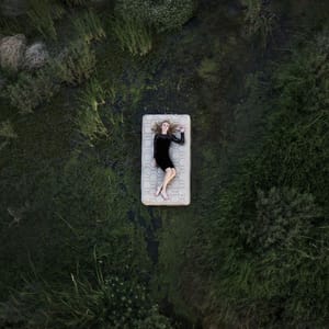Artwork Title: Sleeping to Dream