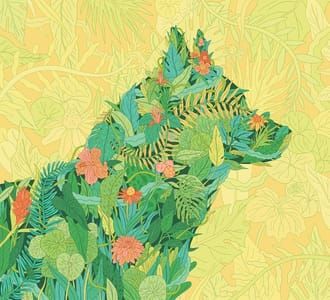 Artwork Title: How to Green Your Pets