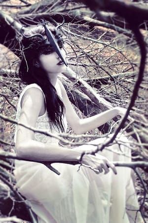 Artwork Title: Untitled