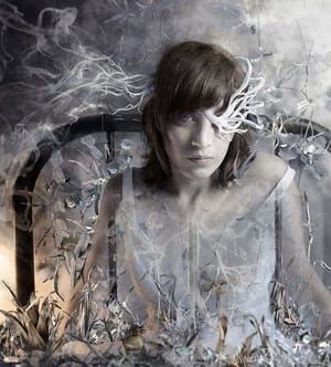 Artwork Title: Ash II