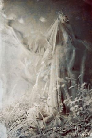 Artwork Title: Songs To Dust