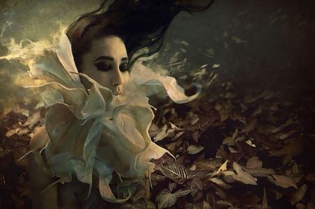 Artwork Title: Endless Slumber