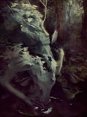 Artwork Title: To Swarm Deserted Away