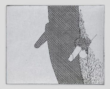 Artwork Title: Penis Shadow