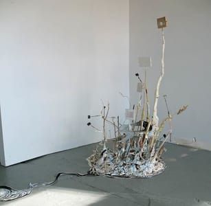 Artwork Title: Untitled