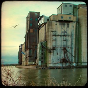 Artwork Title: Industrial Water Shared With Seagull