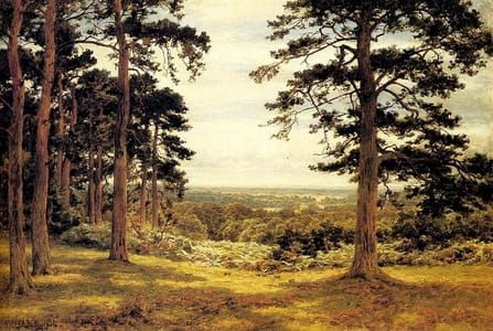 Artwork Title: A Peep Through The Pines
