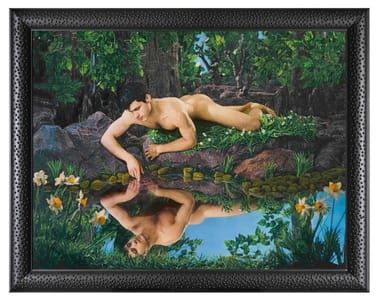 Artwork Title: Narcissus