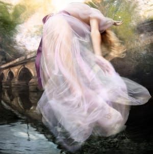 Artwork Title: Chiswick House Bridge
