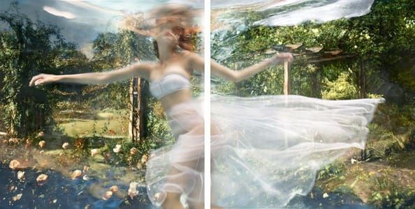 Artwork Title: Battersea Garden Dyptich