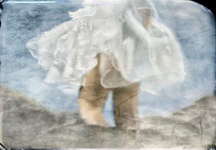 Artwork Title: Traveller