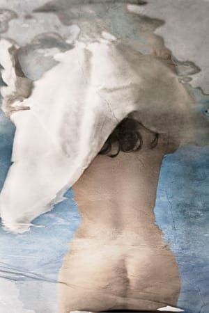 Artwork Title: Refuge