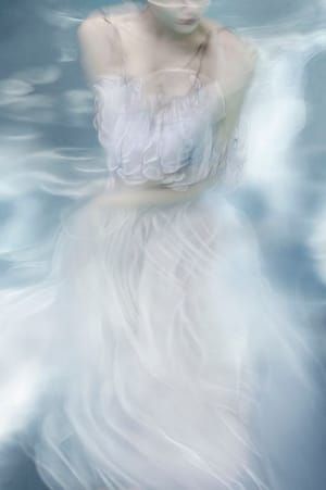 Artwork Title: Fugitive