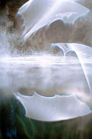 Artwork Title: Ghost