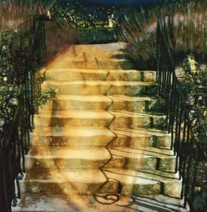 Artwork Title: Shifting Shadows