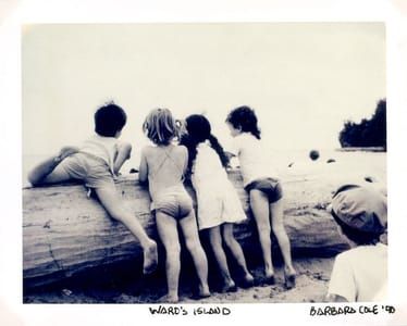 Artwork Title: Ward's Island