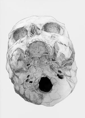Artwork Title: Bones