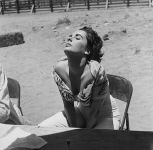 Artwork Title: Liz Taylor Sunning Herself
