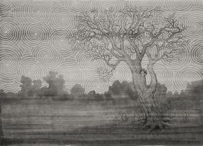 Artwork Title: Path Of The Viewmore