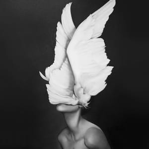 Artwork Title: Awakening