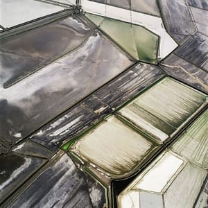 Artwork Title: Untitled