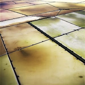 Artwork Title: Untitled