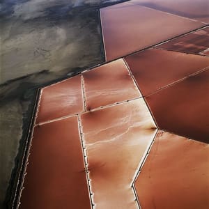 Artwork Title: Untitled
