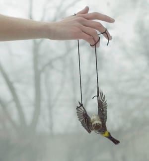 Artwork Title: Cradle