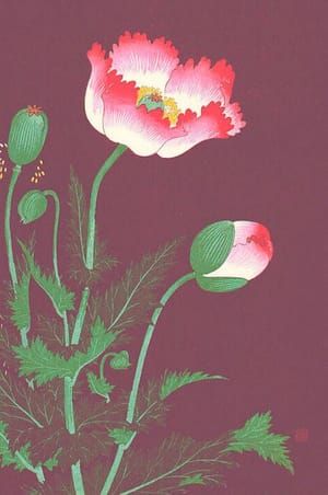 Artwork Title: Untitled