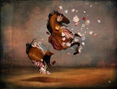 Artwork Title: Transformation