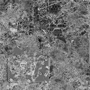 Artwork Title: mesh_negative_visible