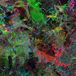 Artwork Title: couloumb_dielectric_web