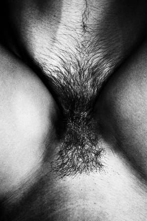 Artwork Title: Untitled