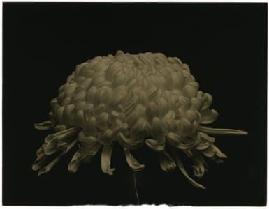 Artwork Title: Untitled