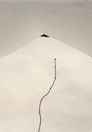 Artwork Title: Kawa=Flow # 1529