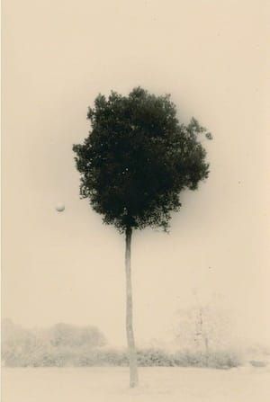 Artwork Title: Untitled