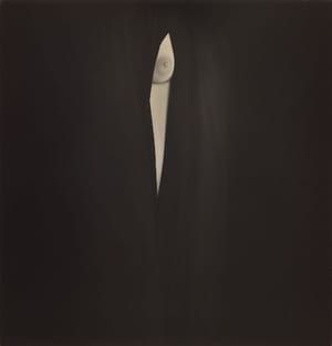 Artwork Title: (From the series 'Nakazora')