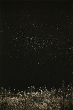 Artwork Title: Nakazora