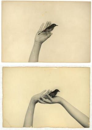 Artwork Title: Untitled
