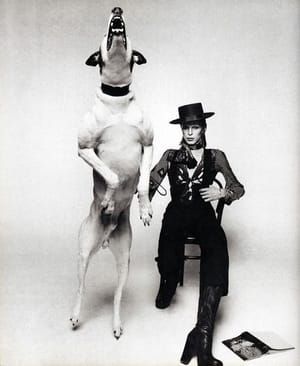 Artwork Title: David Bowie