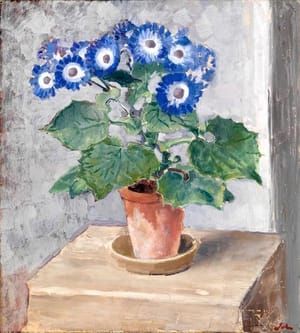 Artwork Title: Blue Cineraria