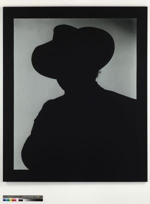 Artwork Title: Shadow