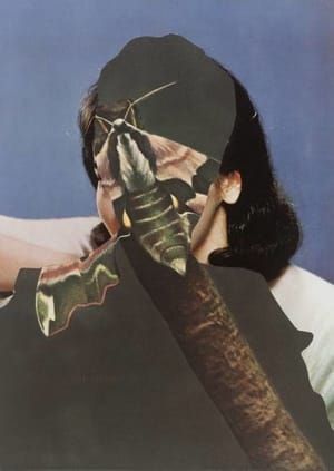 Artwork Title: Untitled