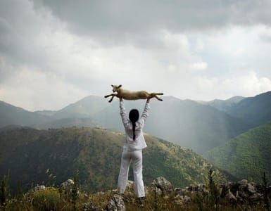 Artwork Title: Holding the Lamb