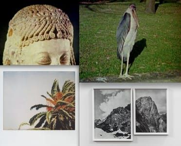 Artwork Title: Untitled