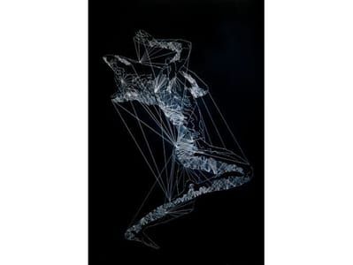 Artwork Title: Star Dancer 11 (FOX)